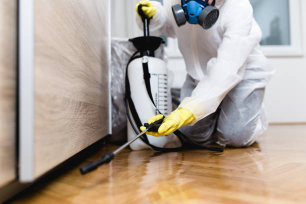 Best Affordable Exterminators  in Savanna, IL