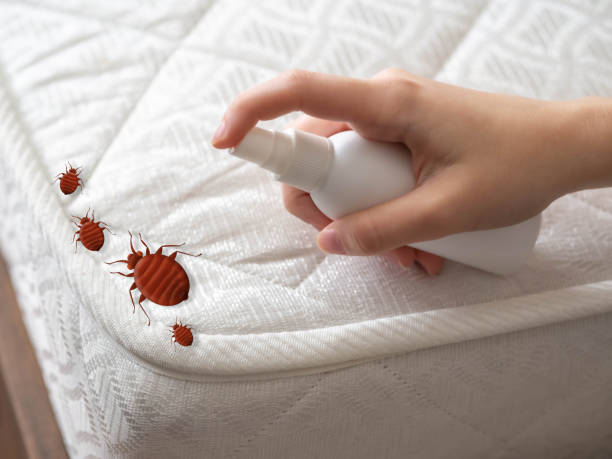 Best Residential Pest Control  in Savanna, IL