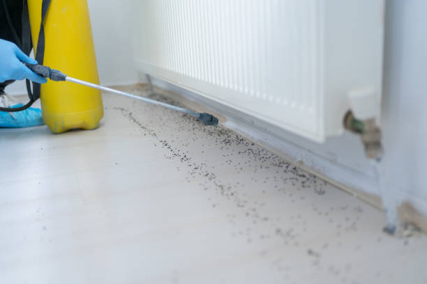 Best Ant Control Services  in Savanna, IL