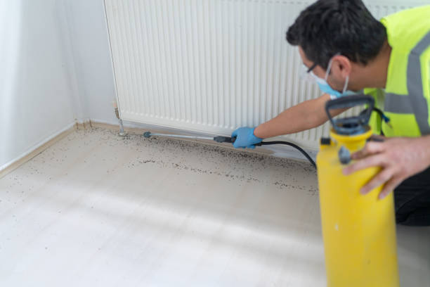 Best Pest Inspection Near Me  in Savanna, IL