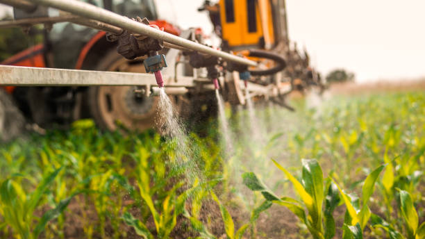 Best Ant Control Services  in Savanna, IL
