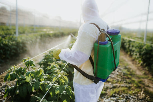 Best Affordable Pest Control Services  in Savanna, IL